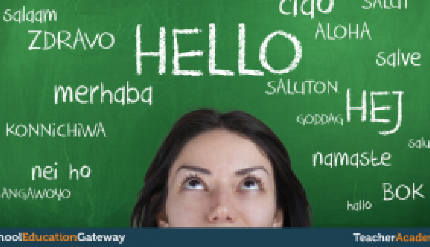 Skolotāji var pieteikties tiešsaistes kursam par valodu daudzveidības pielietošanu