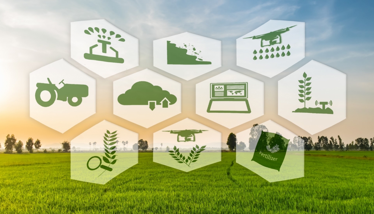 Erasmus TCA agroekologija, attēlā dažādas agro ikonas uz zaļa lauka fona
